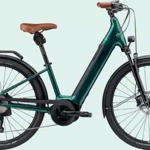 CANNONDALE Adventure Neo 1 2024